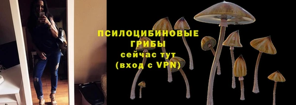 скорость Пестово