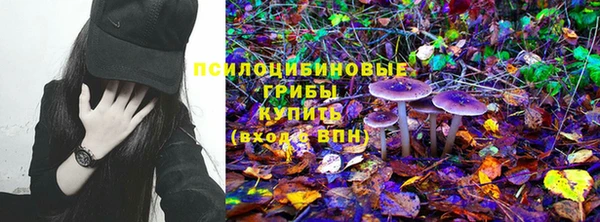 скорость Пестово