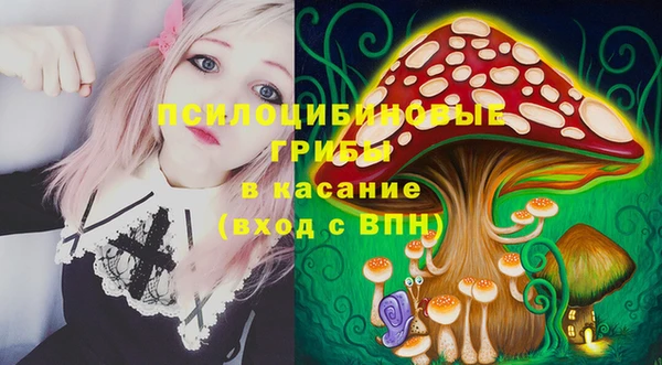соль курить ск Ладушкин