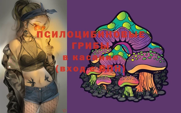 мяу мяу кристалл Переславль-Залесский