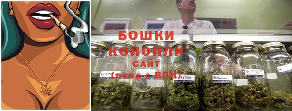 молекула духа Костерёво